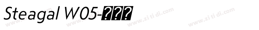 Steagal W05字体转换